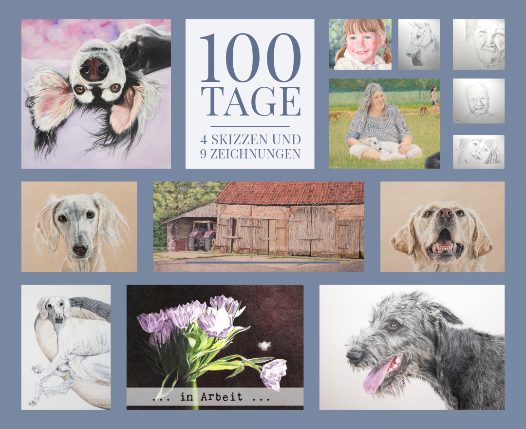 Collage mit 13 Zeichnungen