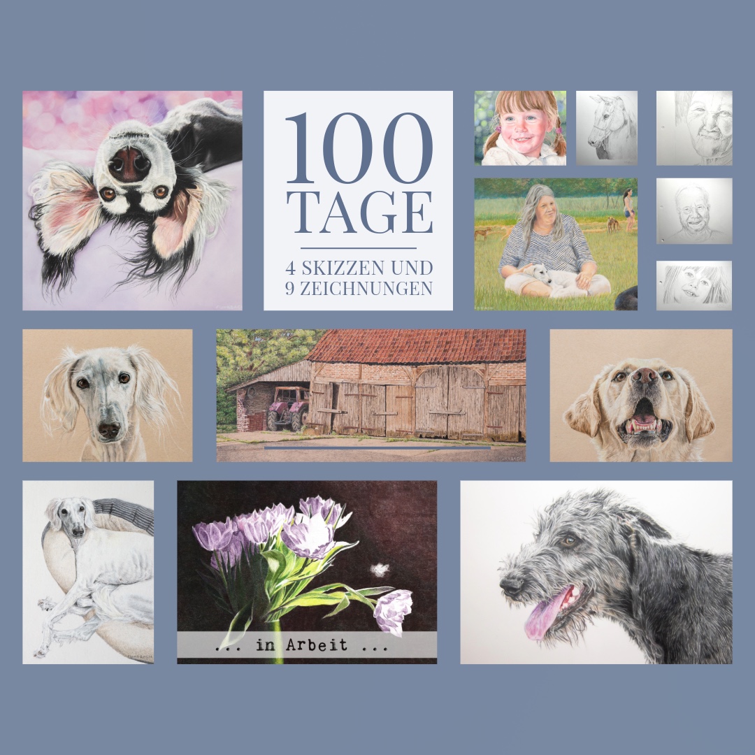 100 Tage – meine Bilder