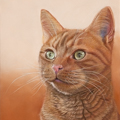 images/portfolio/image76_hundekunst-com_Tierportraits_rote_Katze_Die_Jaegerin_Anja_Fuhrbach.jpg