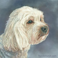 images/portfolio/image86_hundekunst-com_Tierportraits_Bolonka_Zwetna_Anja_Fuhrbach.jpg