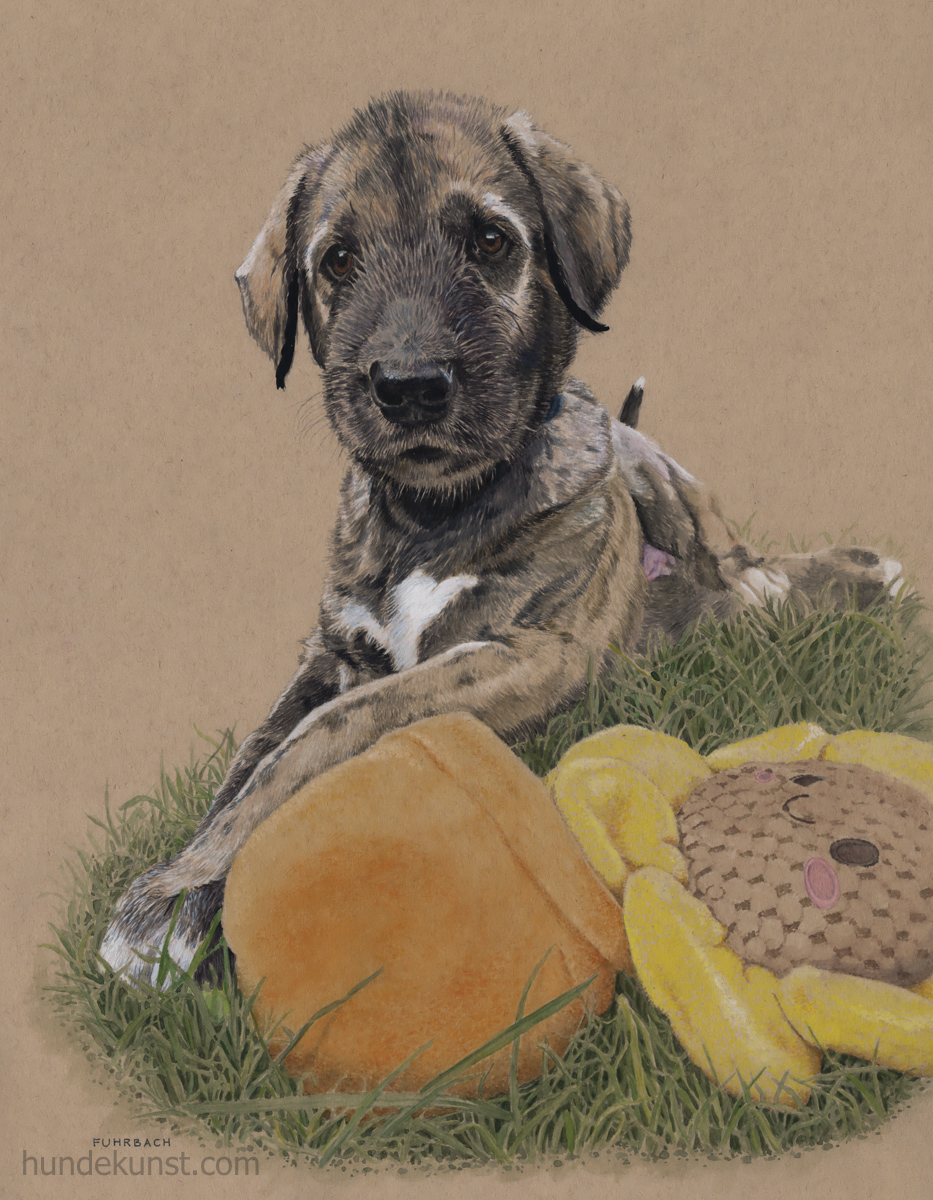 images/zeichnungen/hundekunst-com_Tierportraits_Anja_Fuhrbach_Quadrifoglio-verde-Da-Vinci.jpg#joomlaImage://local-images/zeichnungen/hundekunst-com_Tierportraits_Anja_Fuhrbach_Quadrifoglio-verde-Da-Vinci.jpg?width=933&height=1200
