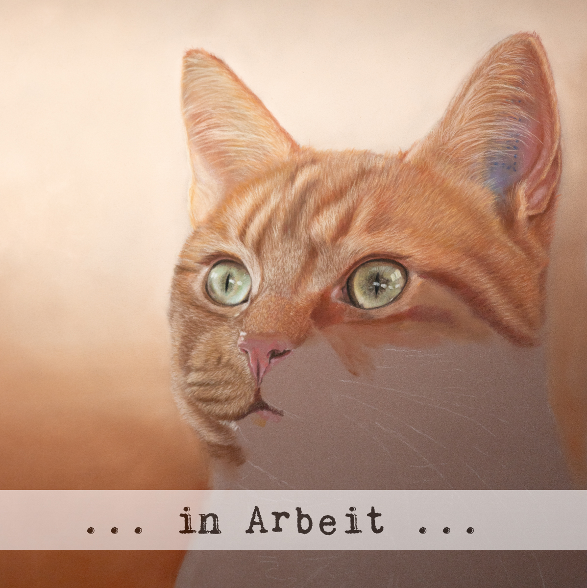 images/zeichnungen/hundekunst-com_Tierportraits_Katze_Jenny_2_Anja_Fuhrbach_260504.jpg#joomlaImage://local-images/zeichnungen/hundekunst-com_Tierportraits_Katze_Jenny_2_Anja_Fuhrbach_260504.jpg?width=1198&height=1200
