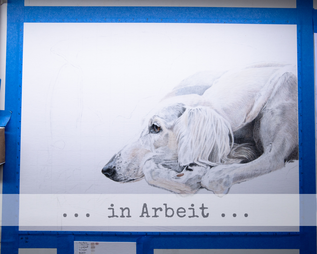 images/zeichnungen/hundekunst-com_Tierportraits_Maisah_auf_Fell_auf_Sessel_Anja_Fuhrbach_260713.jpg#joomlaImage://local-images/zeichnungen/hundekunst-com_Tierportraits_Maisah_auf_Fell_auf_Sessel_Anja_Fuhrbach_260713.jpg?width=1200&height=960