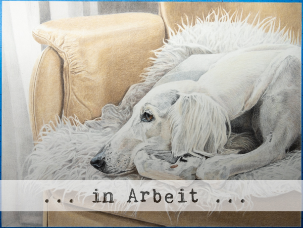images/zeichnungen/hundekunst-com_Tierportraits_Saluki_Maisah_auf_Fell_auf_Sessel_Anja_Fuhrbach_in%20Arbeit_260831.jpg#joomlaImage://local-images/zeichnungen/hundekunst-com_Tierportraits_Saluki_Maisah_auf_Fell_auf_Sessel_Anja_Fuhrbach_in Arbeit_260831.jpg?width=600&height=451