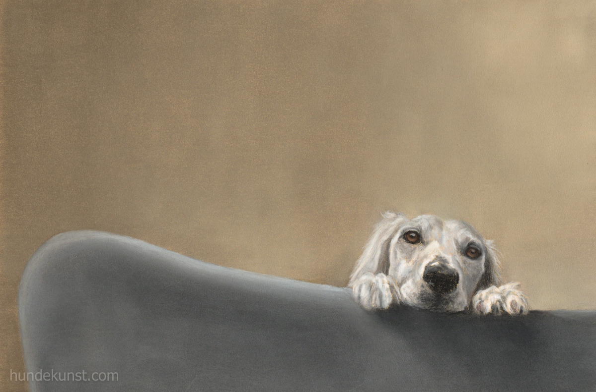 images/zeichnungen/hundekunst-com_Tierportraits_Saluki_Maisah_beim_Fruehstueck_Anja_Fuhrbach.jpg#joomlaImage://local-images/zeichnungen/hundekunst-com_Tierportraits_Saluki_Maisah_beim_Fruehstueck_Anja_Fuhrbach.jpg?width=1200&height=791
