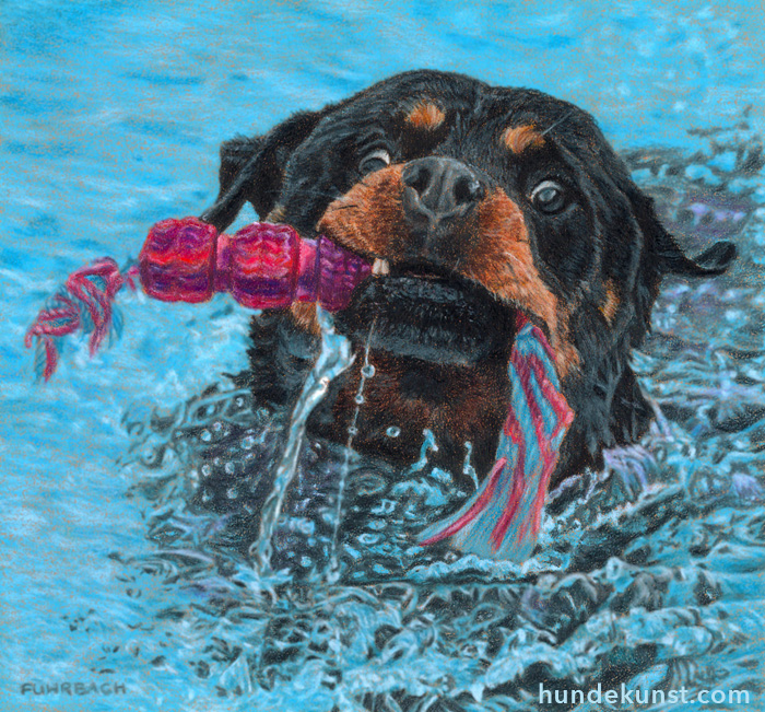 images/zeichnungen/hundekunst-com_Tierportraits_Using_his_best_endeavours_Anja_Fuhrbach.jpg#joomlaImage://local-images/zeichnungen/hundekunst-com_Tierportraits_Using_his_best_endeavours_Anja_Fuhrbach.jpg?width=700&height=651