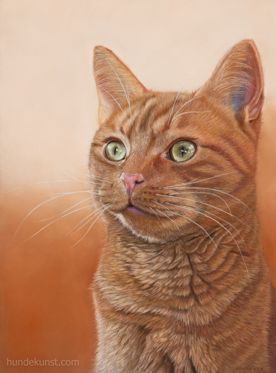 images/zeichnungen/hundekunst-com_Tierportraits_rote_Katze_Die_Jaegerin_Anja_Fuhrbach.jpg#joomlaImage://local-images/zeichnungen/hundekunst-com_Tierportraits_rote_Katze_Die_Jaegerin_Anja_Fuhrbach.jpg?width=887&height=1200