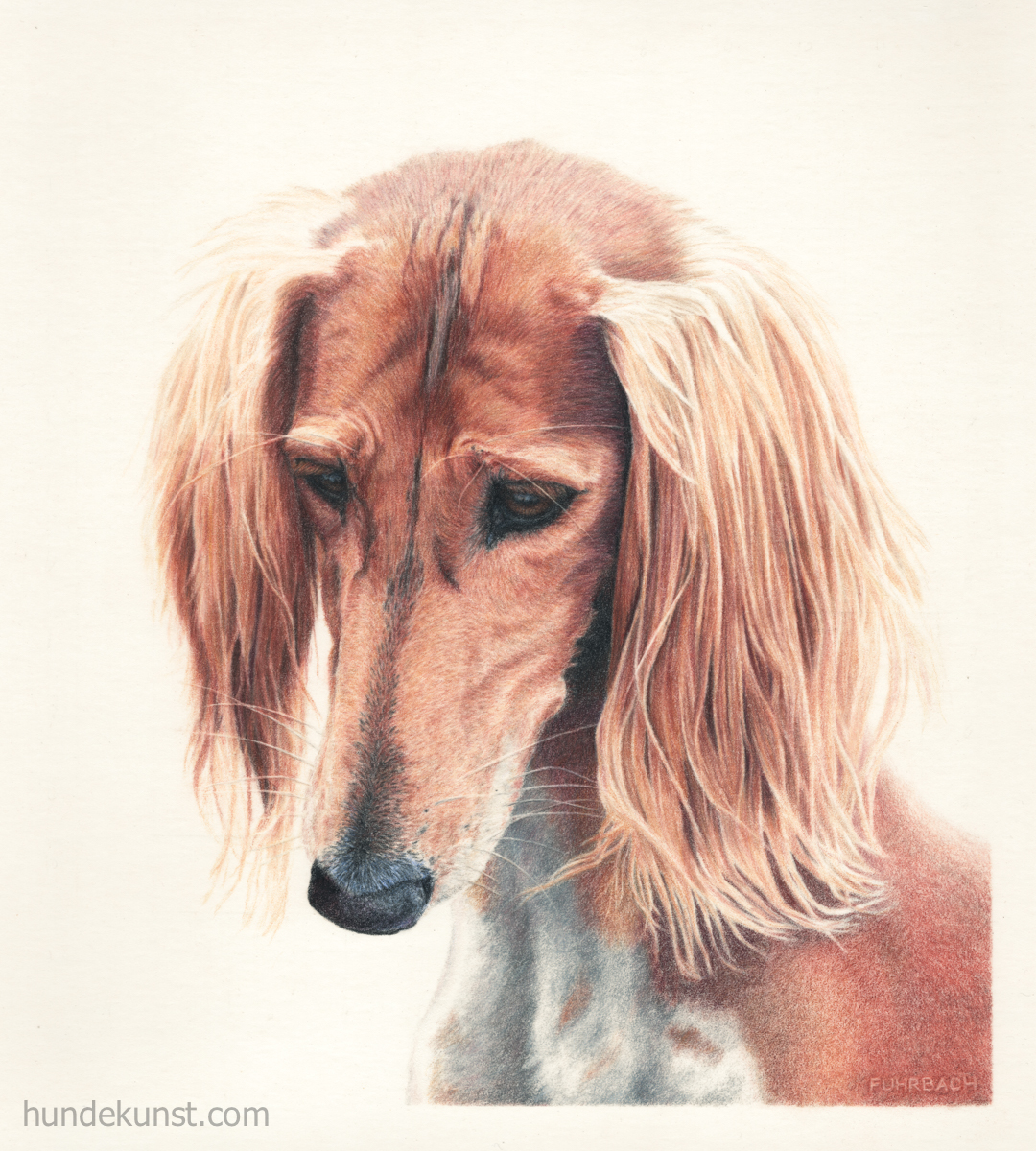 images/zeichnungen/hundekunst-com_Tierportraits_roter_Saluki_Anja_Fuhrbach.jpg#joomlaImage://local-images/zeichnungen/hundekunst-com_Tierportraits_roter_Saluki_Anja_Fuhrbach.jpg?width=1080&height=1200